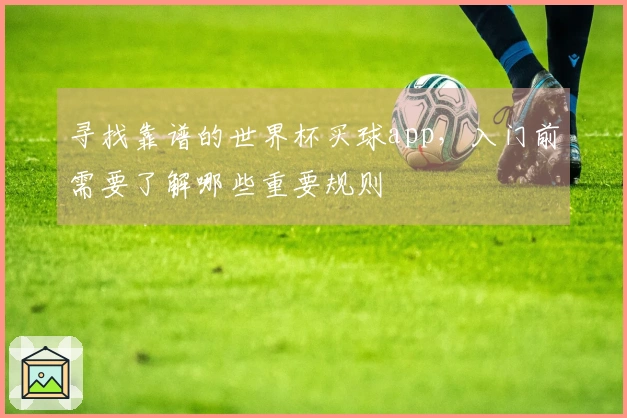 寻找靠谱的世界杯买球app，入门前需要了解哪些重要规则