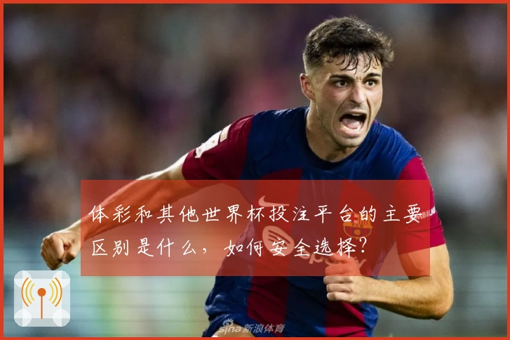 体彩和其他世界杯投注平台的主要区别是什么，如何安全选择？