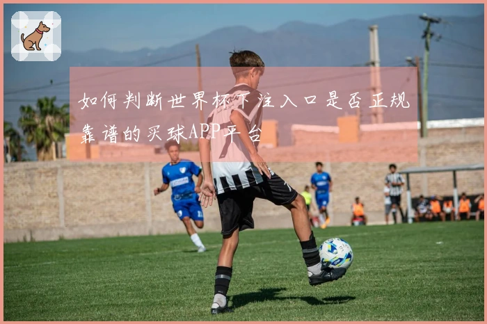 如何判断世界杯下注入口是否正规靠谱的买球APP平台