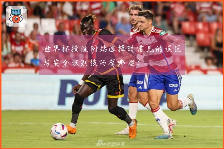 世界杯投注网站选择时常见的误区与安全识别技巧有哪些？