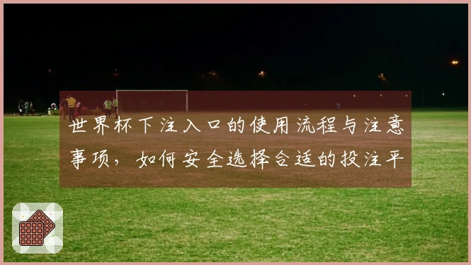 世界杯下注入口的使用流程与注意事项，如何安全选择合适的投注平台