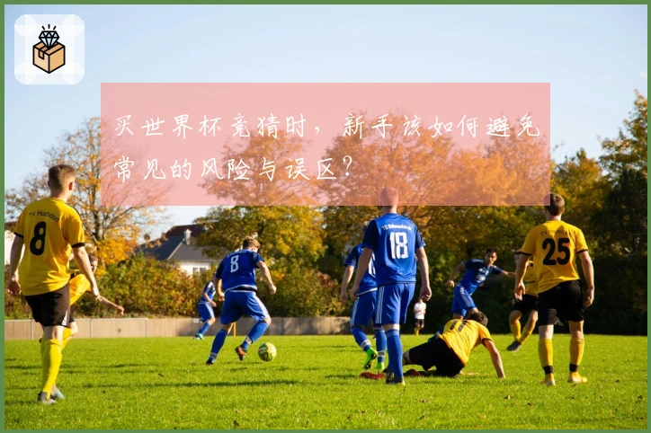 买世界杯竞猜时，新手该如何避免常见的风险与误区？