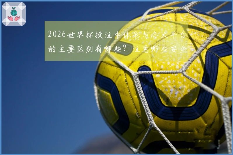 2026世界杯投注中体彩与各大平台的主要区别有哪些？注意哪些安全合规问题？