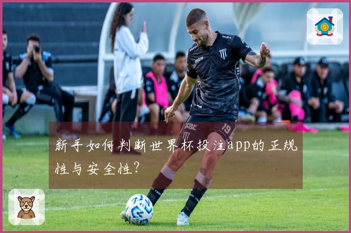 新手如何判断世界杯投注app的正规性与安全性？