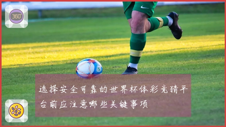 选择安全可靠的世界杯体彩竞猜平台前应注意哪些关键事项