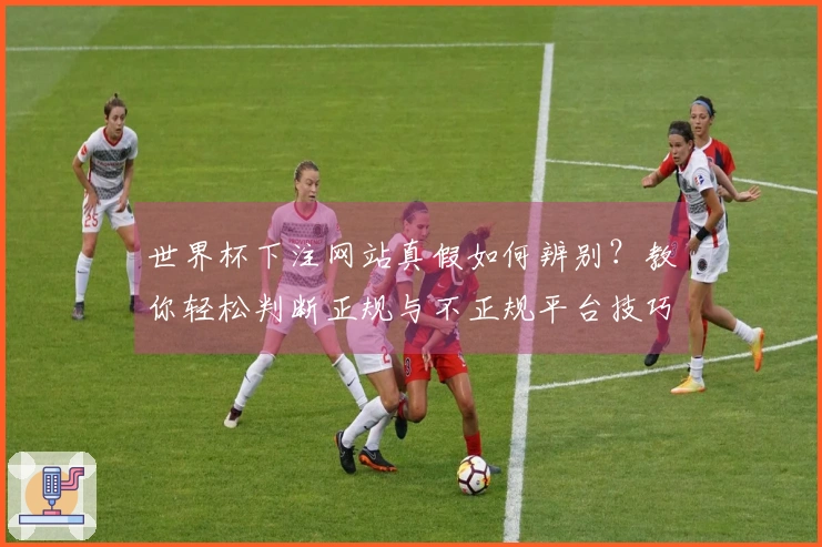 世界杯下注网站真假如何辨别？教你轻松判断正规与不正规平台技巧