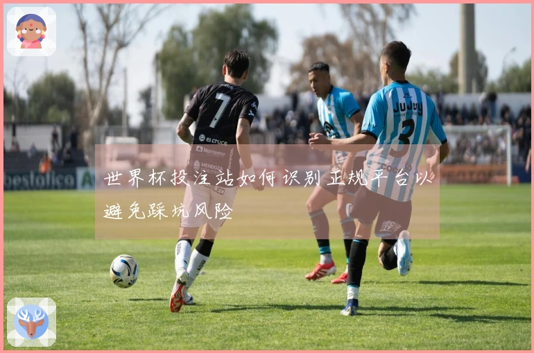 世界杯投注站如何识别正规平台以避免踩坑风险