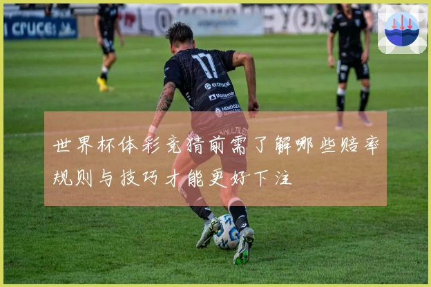 世界杯体彩竞猜前需了解哪些赔率规则与技巧才能更好下注