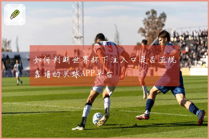 如何判断世界杯下注入口是否正规靠谱的买球APP平台