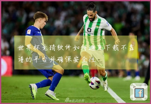 世界杯竞猜软件如何避免下载不靠谱的平台并确保安全性