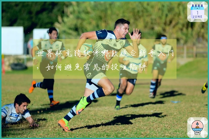 世界杯竞猜软件哪款适合新手入门，如何避免常见的投注陷阱