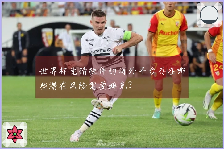 世界杯竞猜软件的海外平台存在哪些潜在风险需要避免？