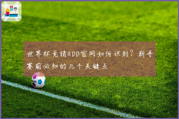 世界杯竞猜app官网如何识别？新手赛前必知的几个关键点