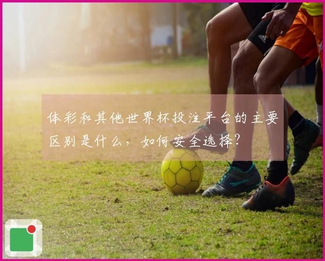 体彩和其他世界杯投注平台的主要区别是什么，如何安全选择？