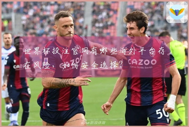 世界杯投注官网有哪些海外平台存在风险，如何安全选择？