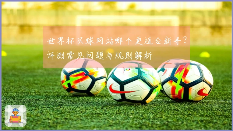 世界杯买球网站哪个更适合新手？评测常见问题与规则解析