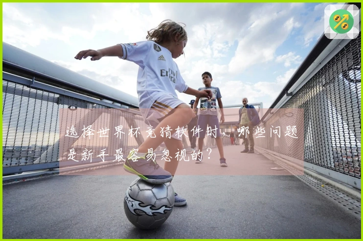 选择世界杯竞猜软件时，哪些问题是新手最容易忽视的？