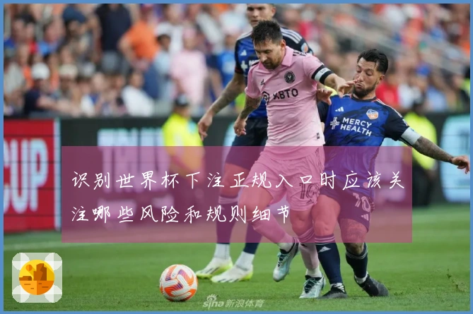 识别世界杯下注正规入口时应该关注哪些风险和规则细节