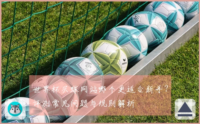 世界杯买球网站哪个更适合新手？评测常见问题与规则解析